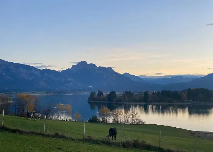 Beim Bergfreund شقة